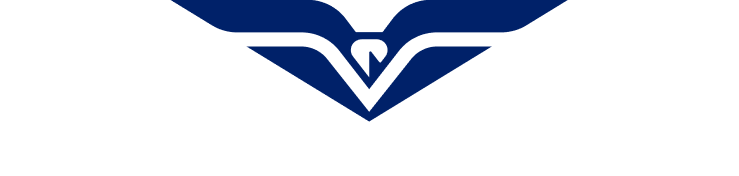 Cutwater Eagle Icon